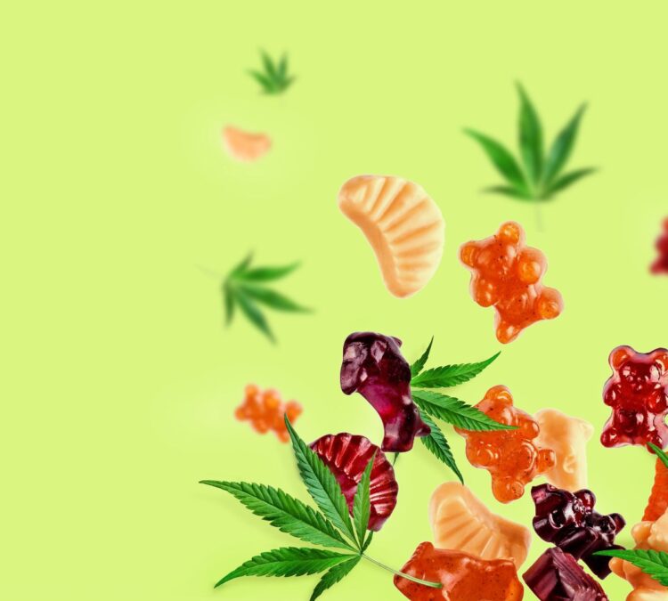 Unwrapping The Magic of Gummies Bliss